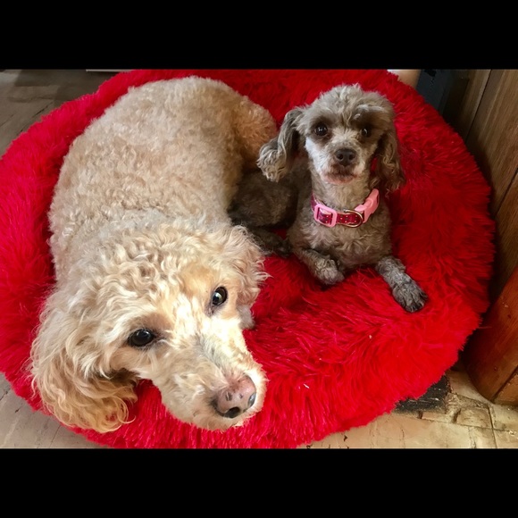 Meet your Posher, Valerie - Picture 3 of 3